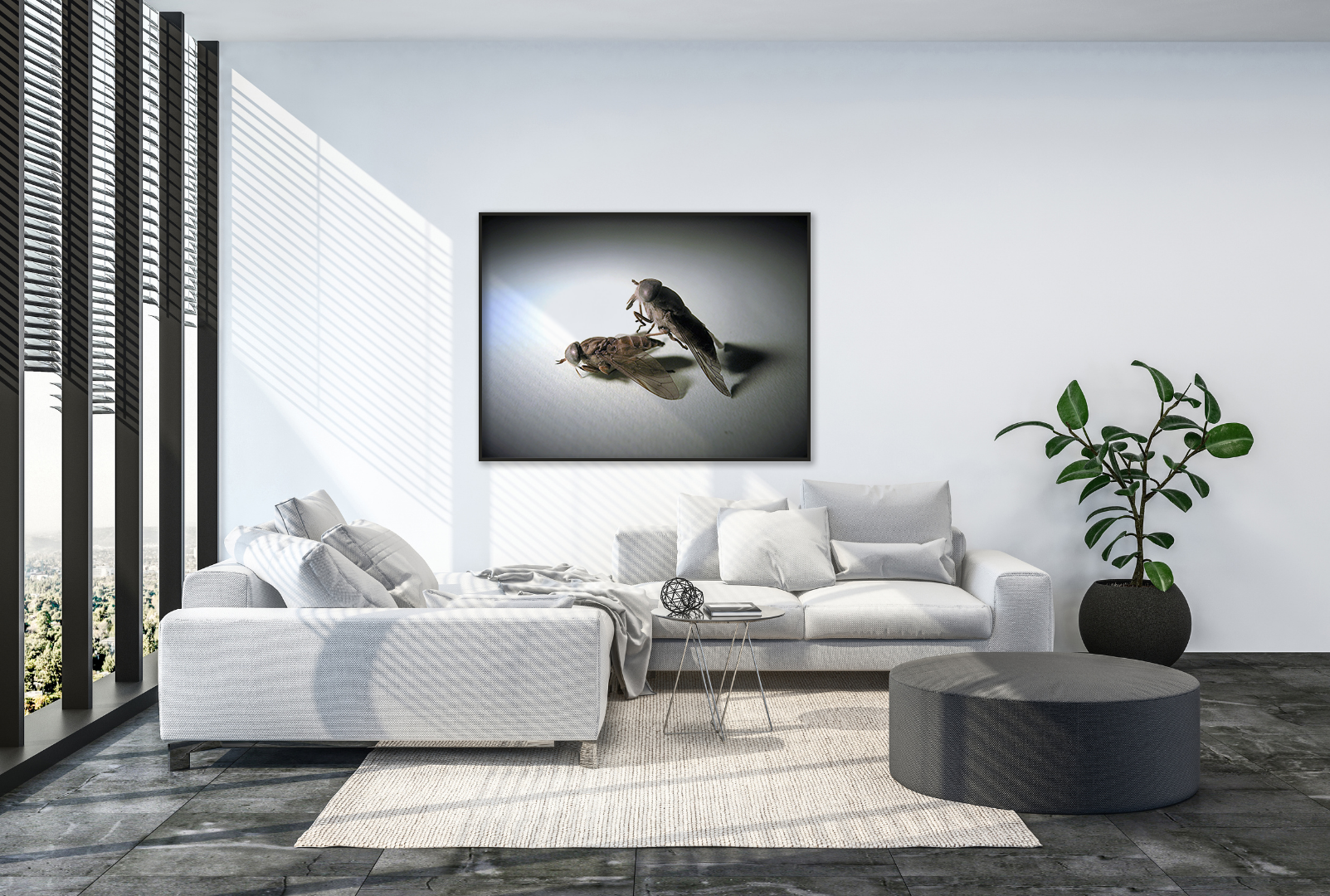 Fly Mates original abstract contextualised office art modern decor photo print by Blair Montague Drake